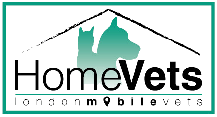 Clnica Veterinaria Homevetslondon